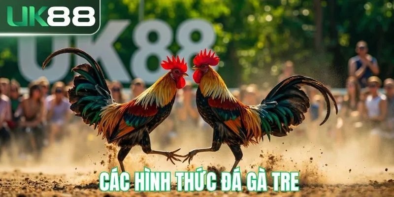 Các hình thức đá gà tre