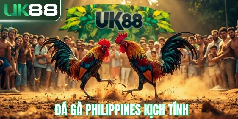 Đá gà philippines kịch tính