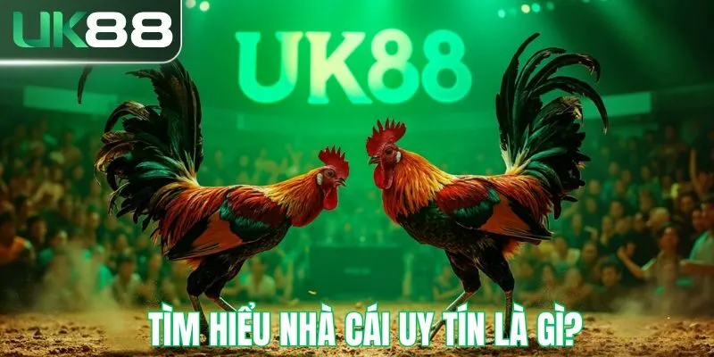 Tìm hiểu nhà cái đá gà uy tín là gì?